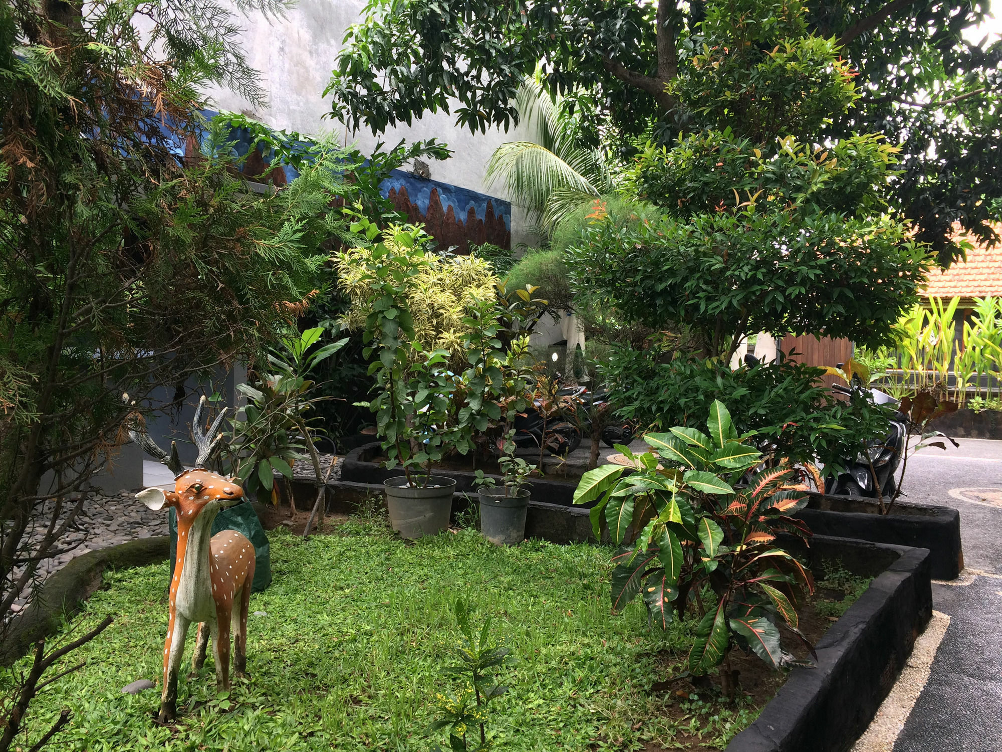 Jenny Bunker Homestay Kuta Lombok Eksteriør billede